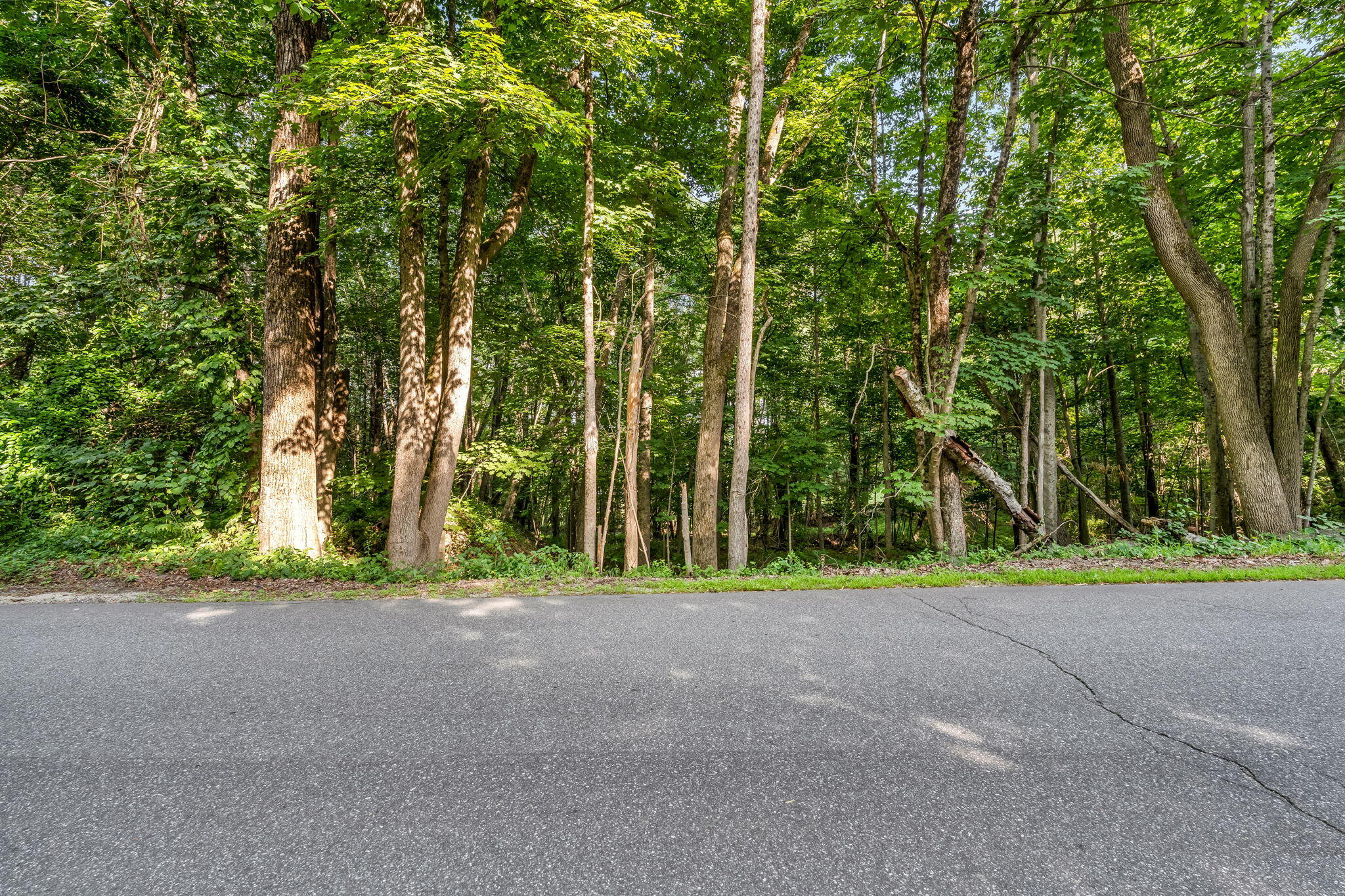 0 Sedgley Road Greene, ME 04236 - Photo 18 of 18 16-web-or-mls-sedgley-rd