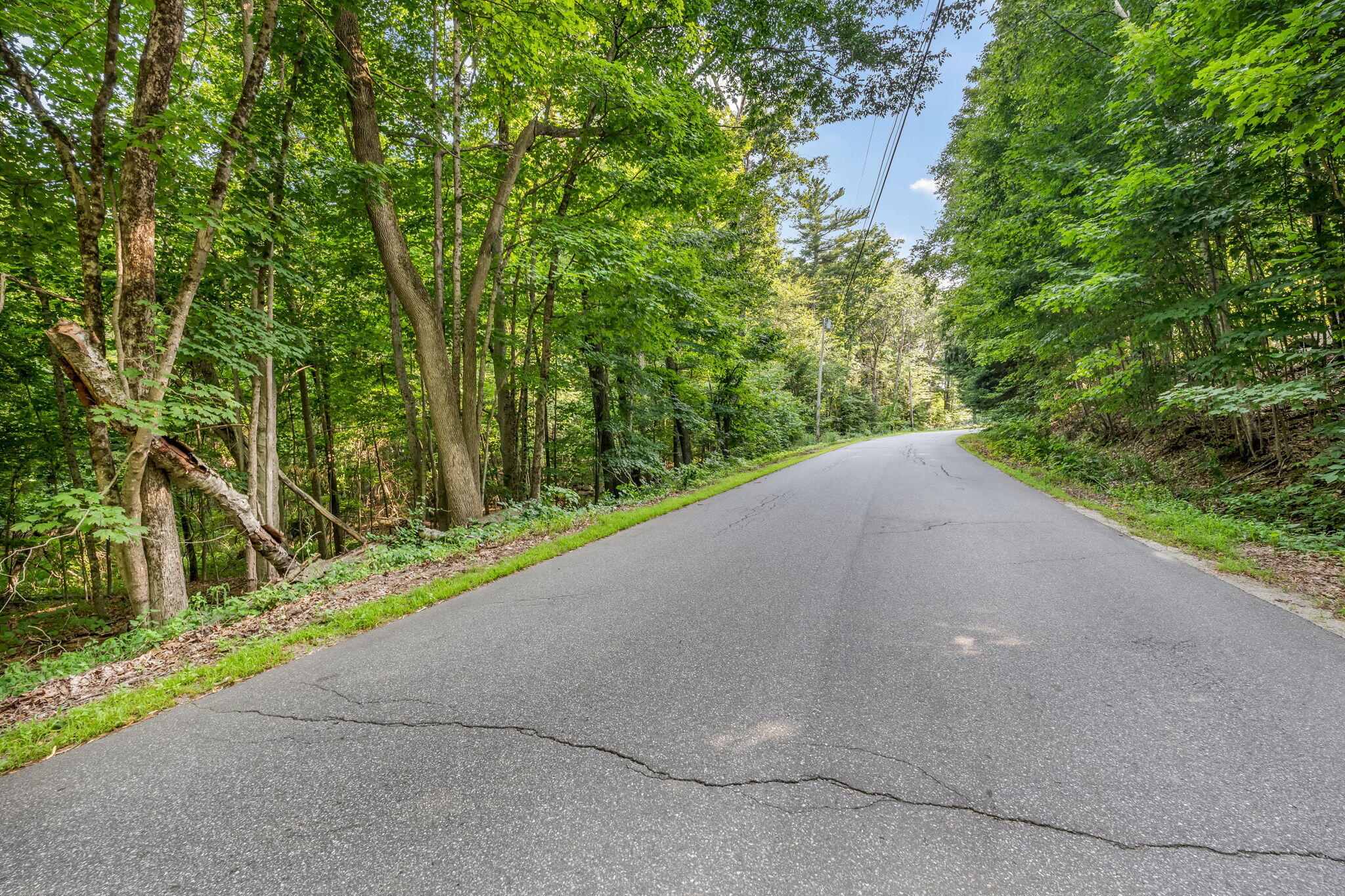 0 Sedgley Road Greene, ME 04236 - Photo 3 of 18 17-web-or-mls-sedgley-rd
