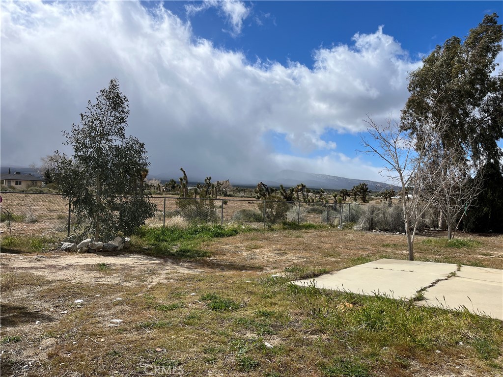 12014 Oasis Road Pinon Hills, CA 92372 - Photo 13 of 16 a view of a yard