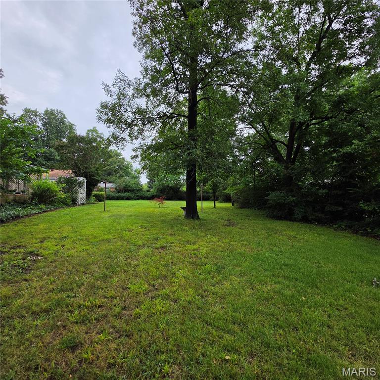 1406 Rosedale Lane Poplar Bluff, MO 63901 - Photo 24 of 24