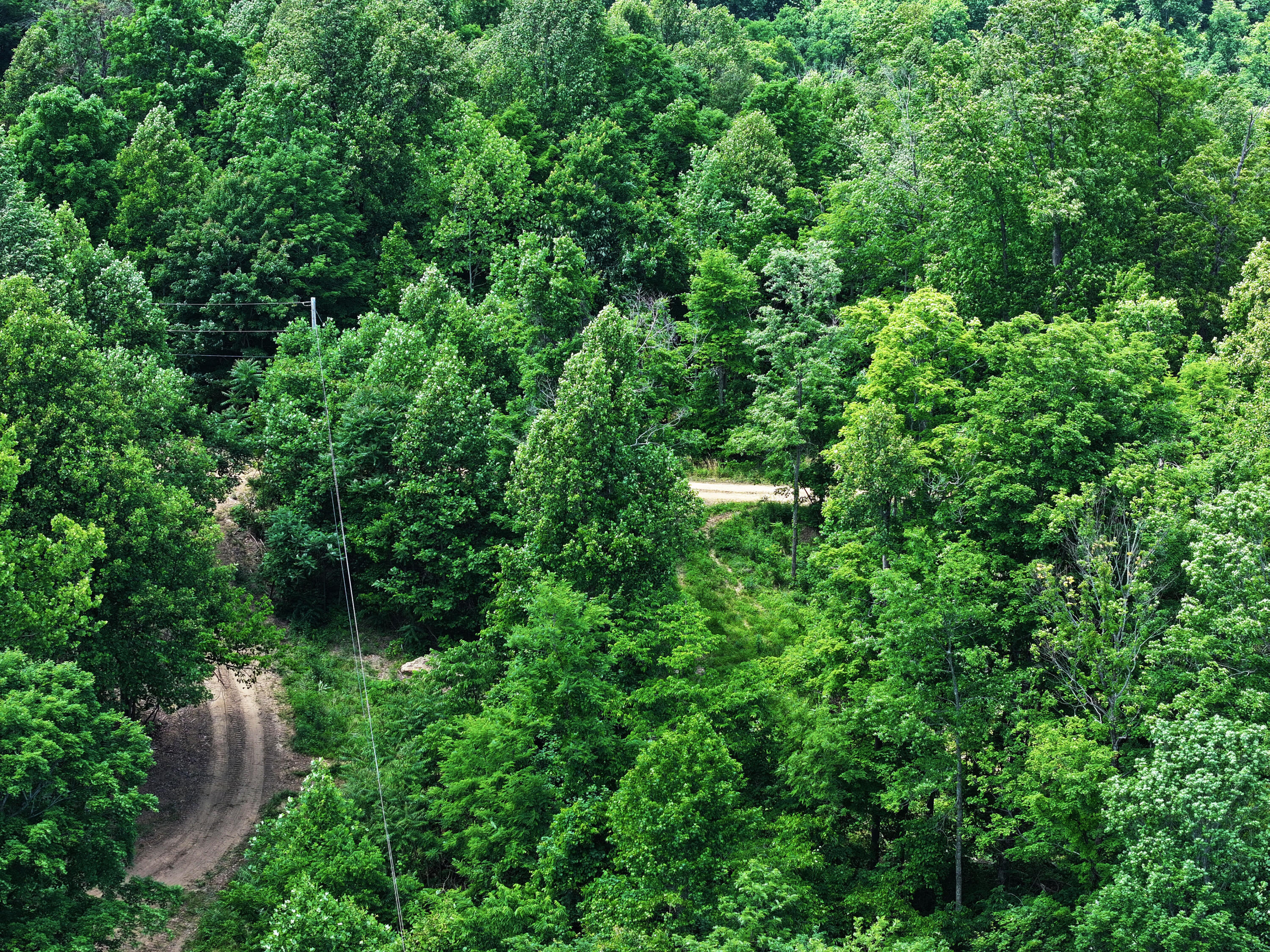 Lot 11 Happy Top Road McKee, KY 40447 - Photo 4 of 12 Stay connected if you want to, or unplug when you don't. With electricity available on-site, the choice is yours.