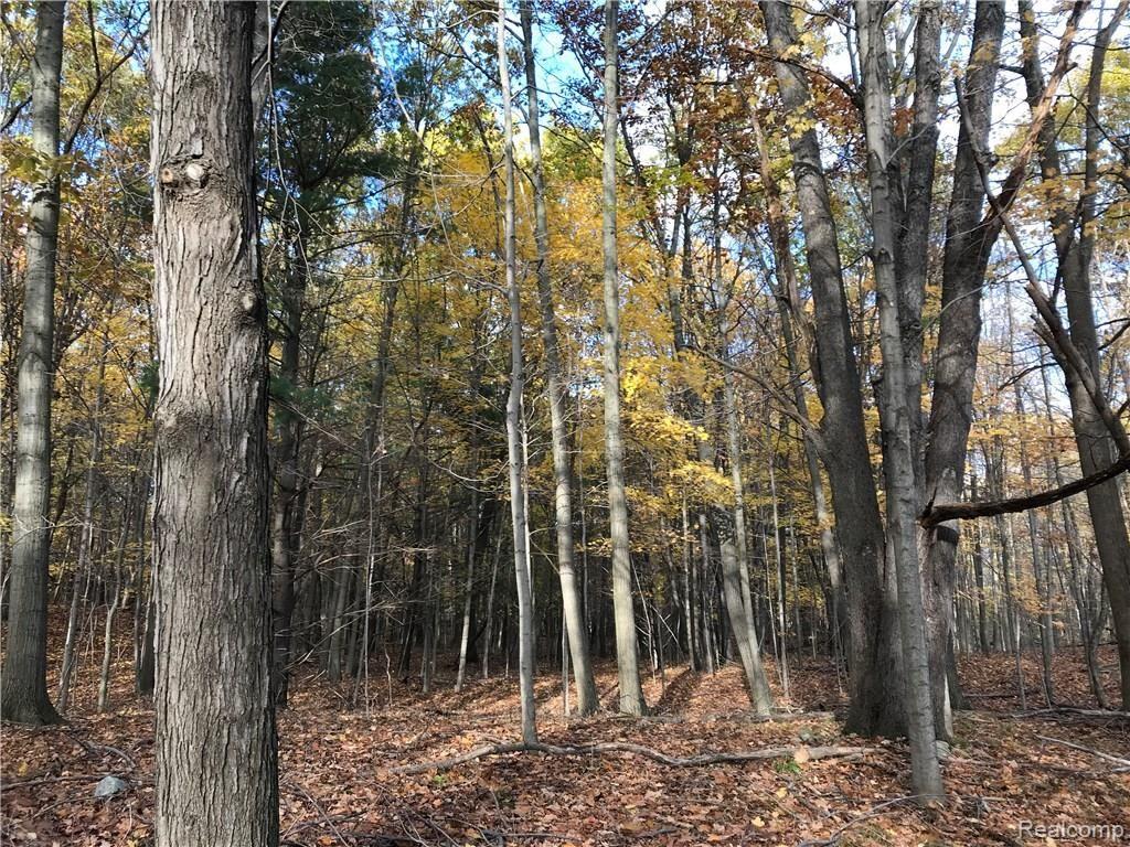 7 Lake George Road Oxford, MI 48370 - Photo 10 of 12