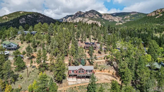 an aerial view of residential houses with outdoor space and trees