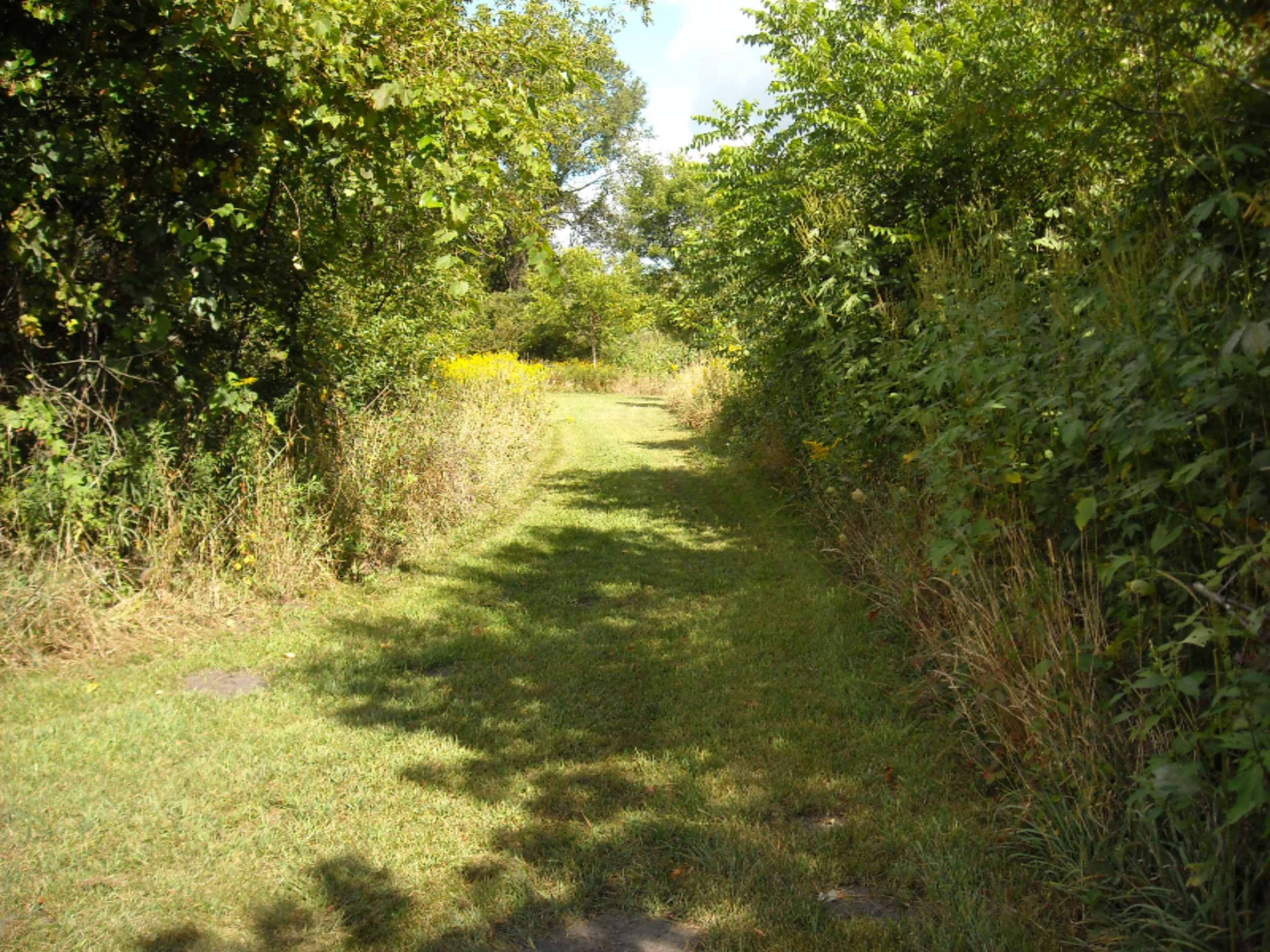 610 Carver Road Climax, MI 49034 - Photo 17 of 67 610 Carver Road 059