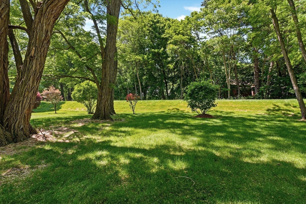 2 Whiting Road Framingham, MA 01701 - Photo 38 of 42