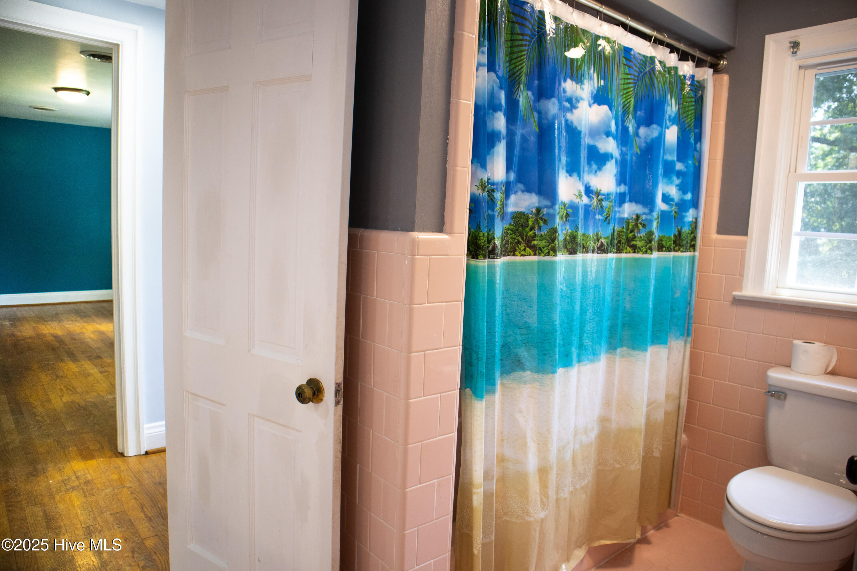 119 Watson Street Enfield, NC 27823 - Photo 25 of 38 Upstairs bath