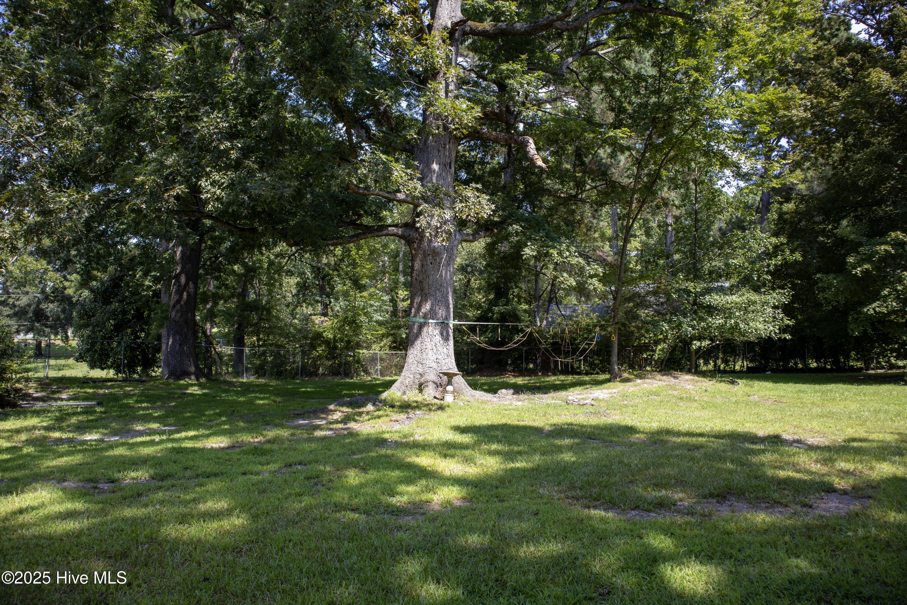 119 Watson Street Enfield, NC 27823 - Photo 36 of 38 Backyard