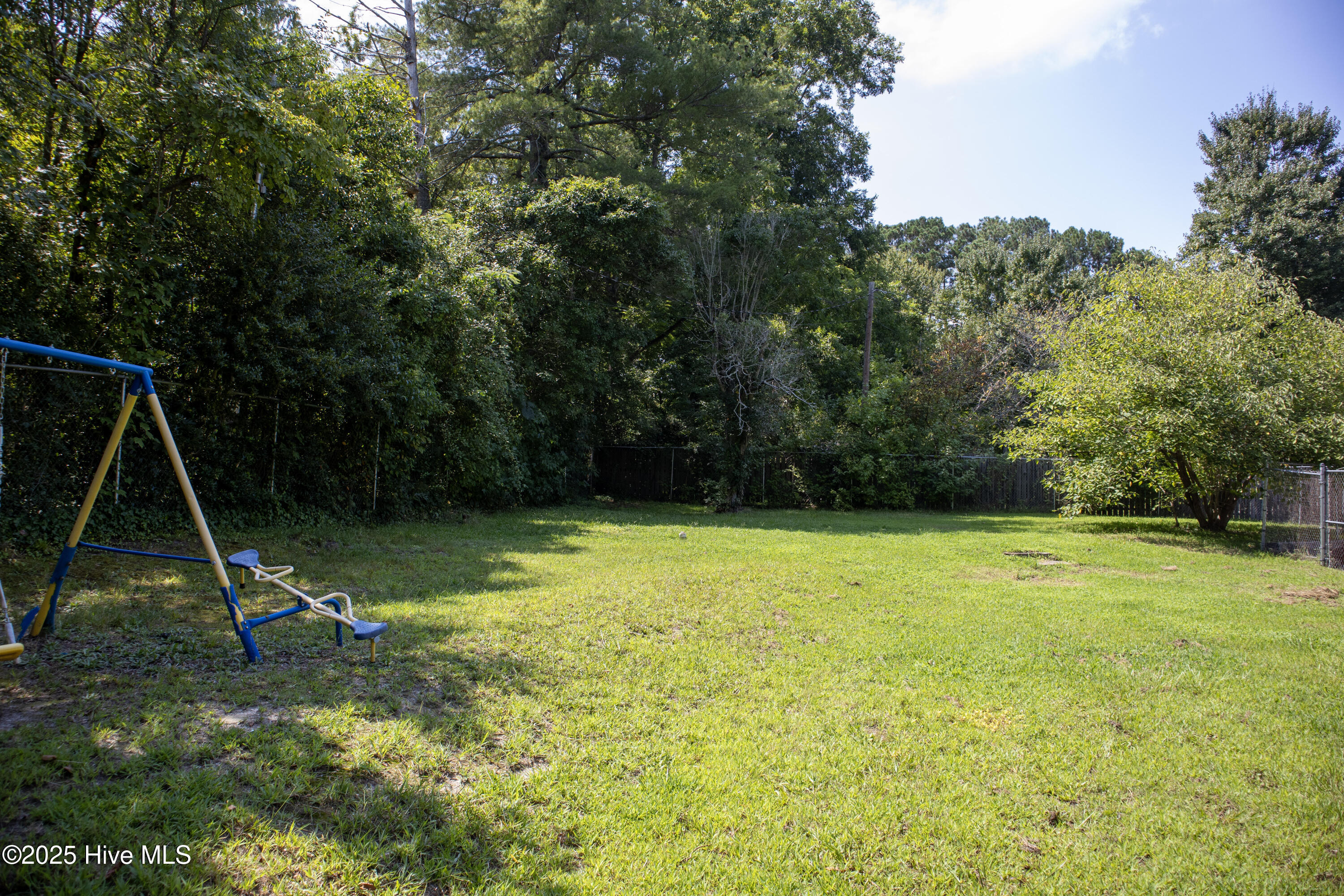 119 Watson Street Enfield, NC 27823 - Photo 37 of 38 Backyard