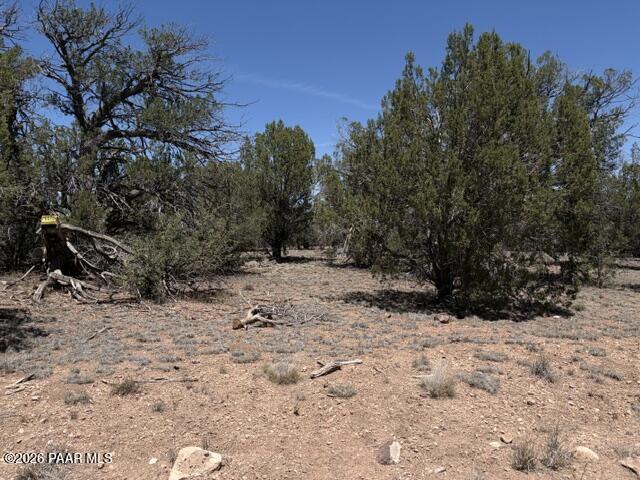 356 D Sierra Verde Ranch Seligman, AZ 86337 - Photo 2 of 9 a view of a yard covered in snow