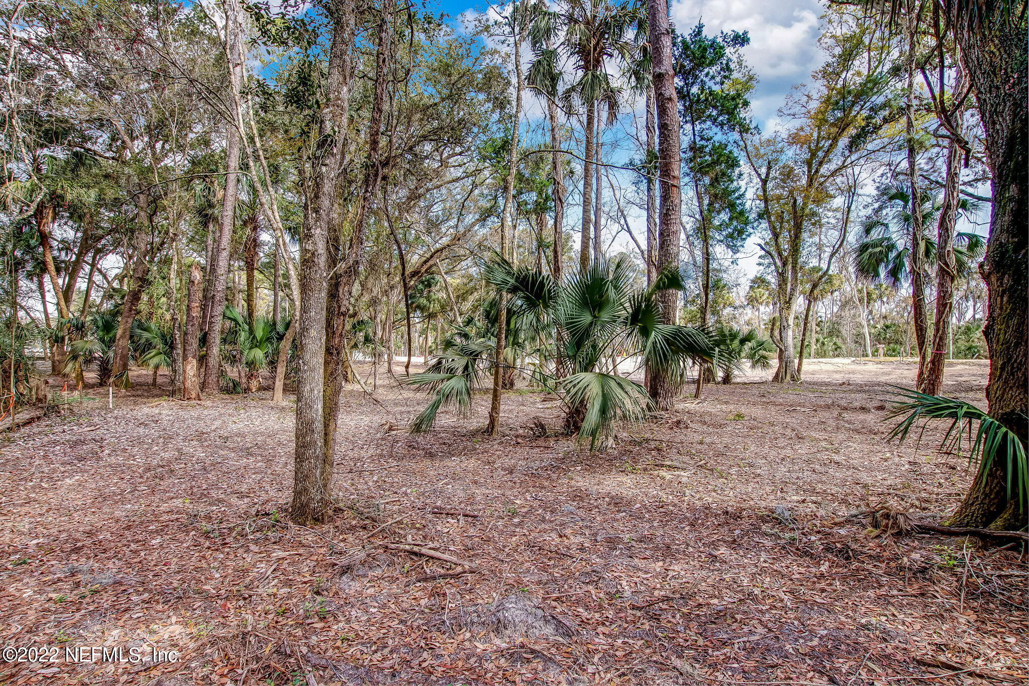 548 Shell Ridge Lane Ponte Vedra, FL 32081 - Photo 3 of 20 4-web-or-mls-4_River Landing Lot 21