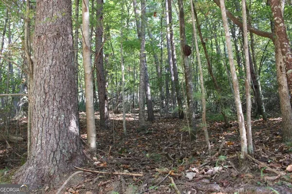 $60,500 | Lot 16 Leatherwood Mountain Road, Cherry Log, GA 30522