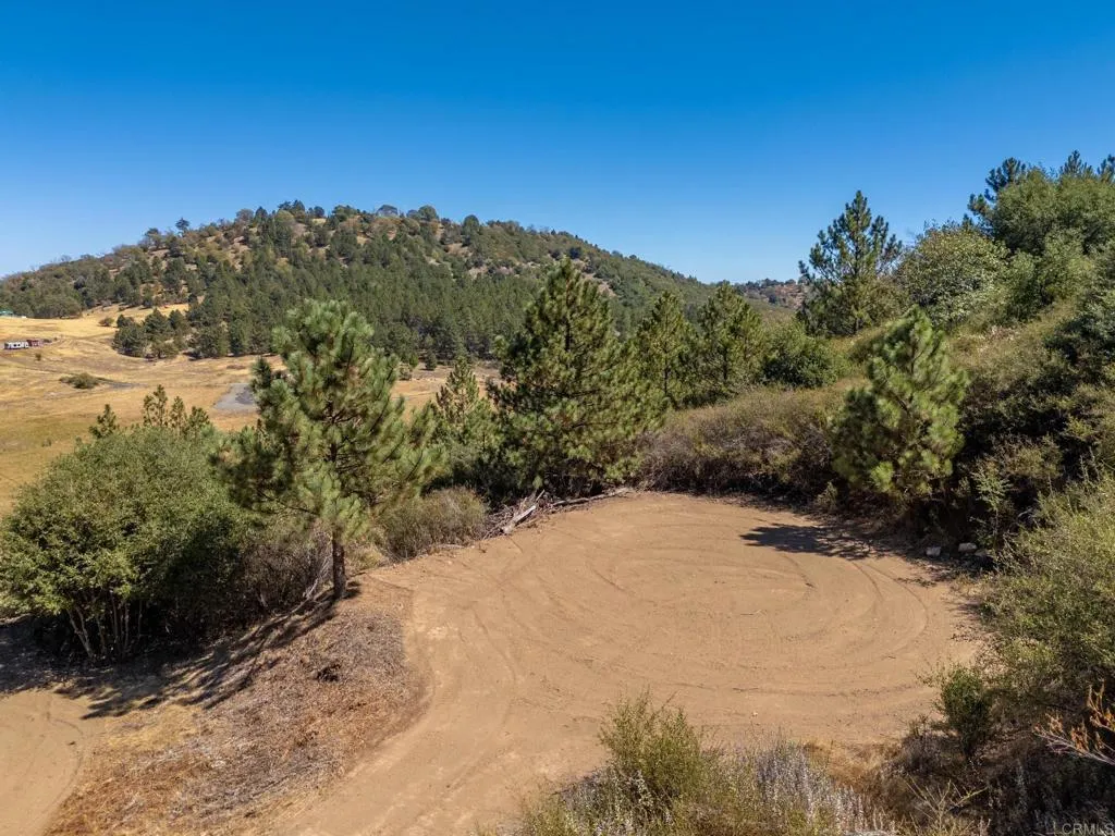 61 East Grade Road Palomar Mountain, CA 92060 - Photo 11 of 26 Gallery Image 11