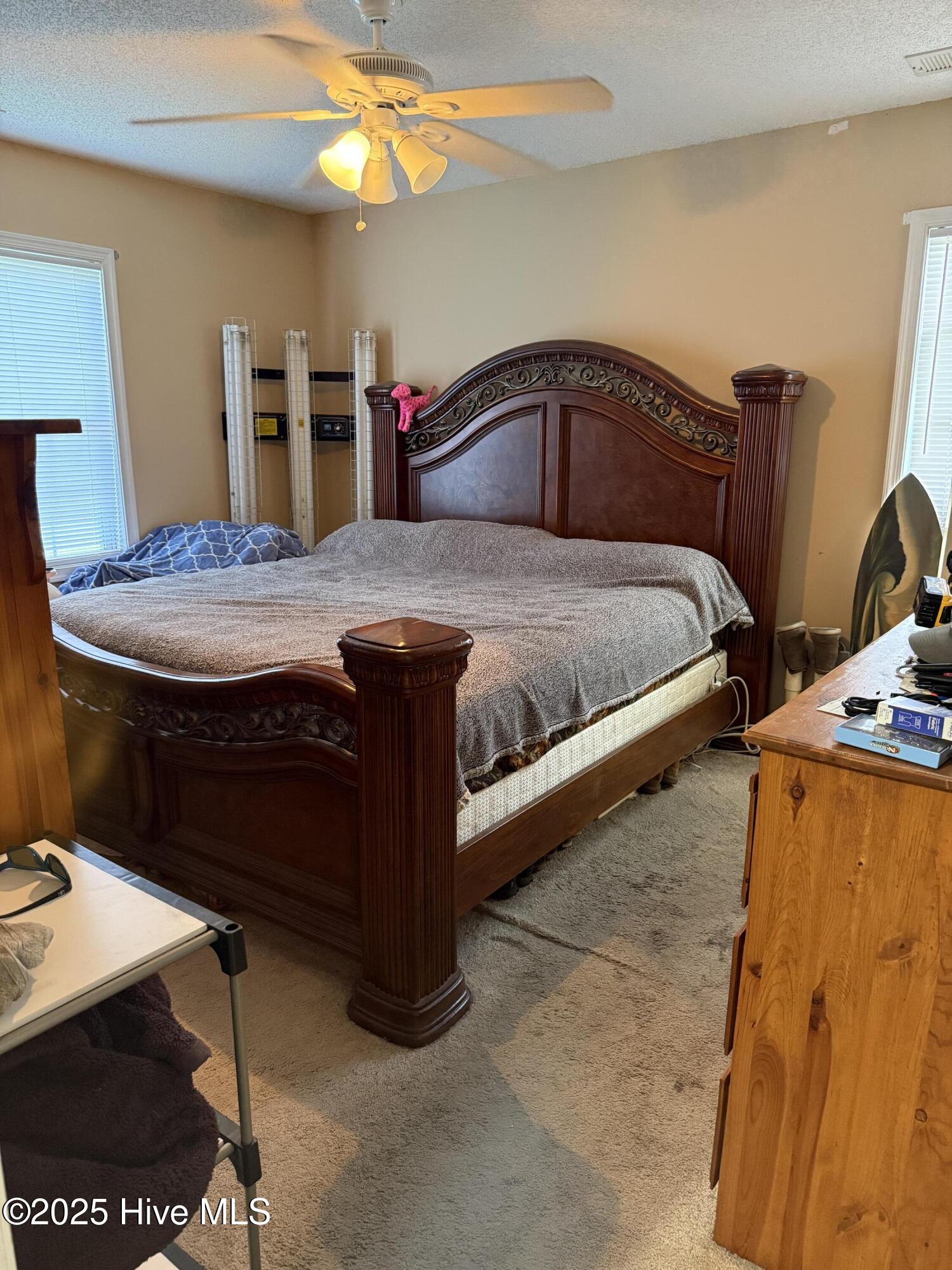 607 Aydlett Road Aydlett, NC 27916 - Photo 10 of 14 Primary bedroom with en-suite