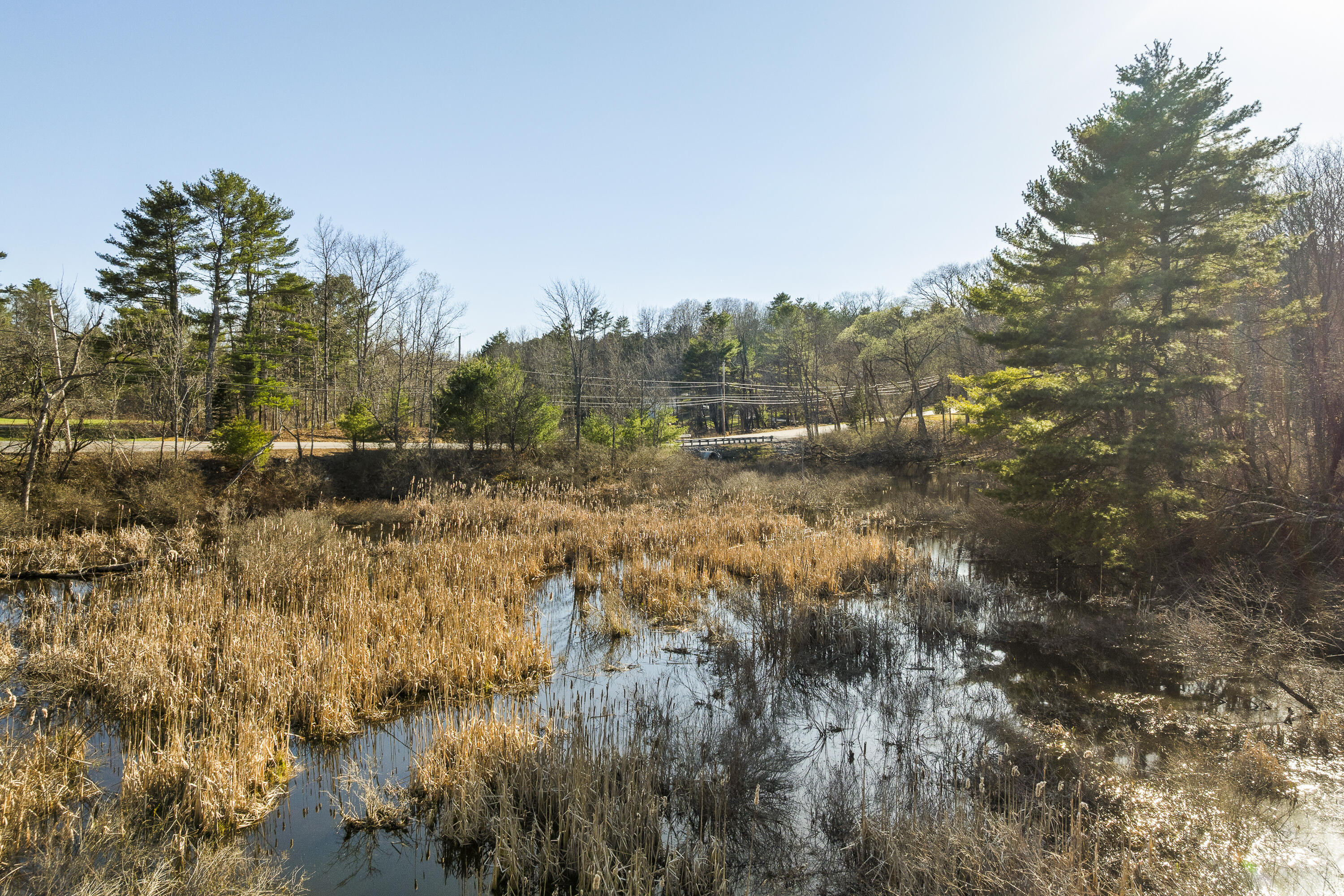 23 Compass Rose Road Brunswick, ME 04011 - Photo 77 of 77 pond on property