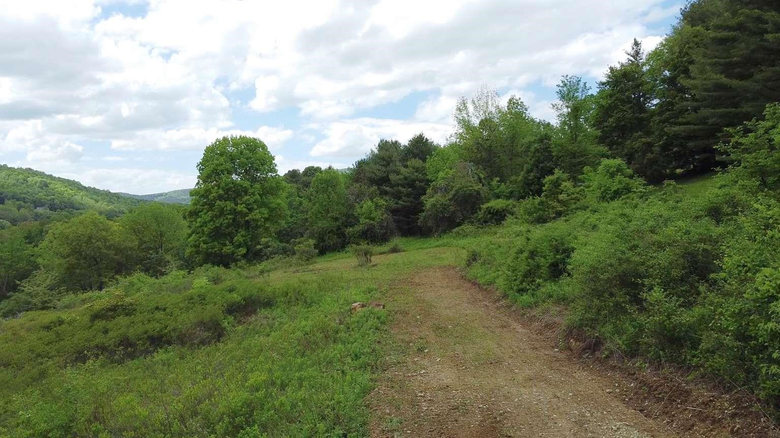 Lot 3 Pickering Road Arlington, VT 05250 - Photo 2 of 4 Gallery Image 2