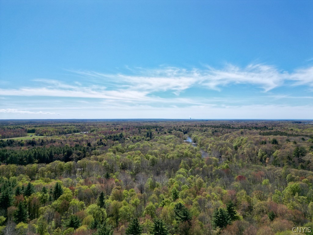657 County Rte 48 Altmar, NY 13302 - Photo 5 of 47