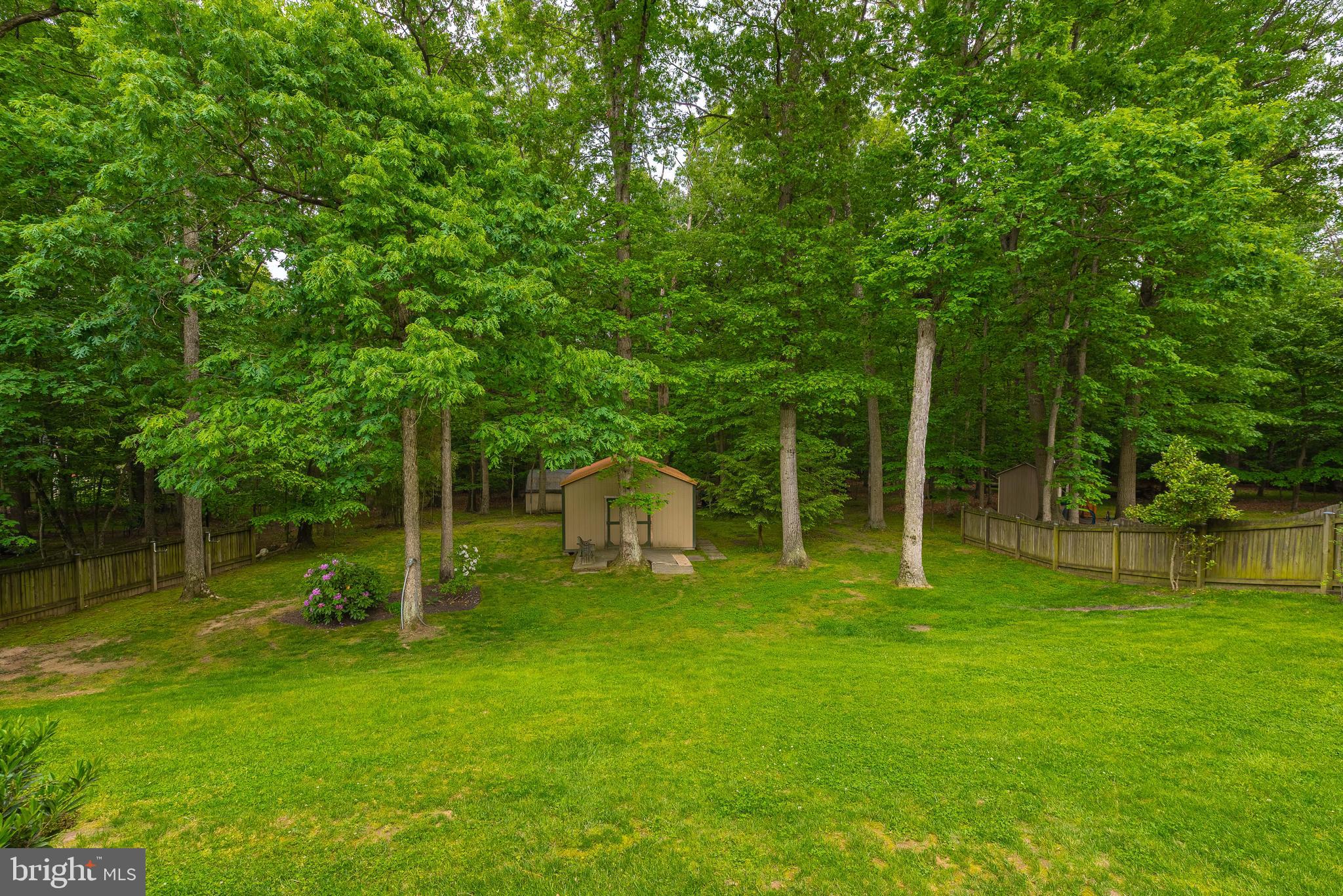 9679 Baltimore Avenue Laurel, MD 20723 - Photo 15 of 56 a backyard of a house with plants and large trees