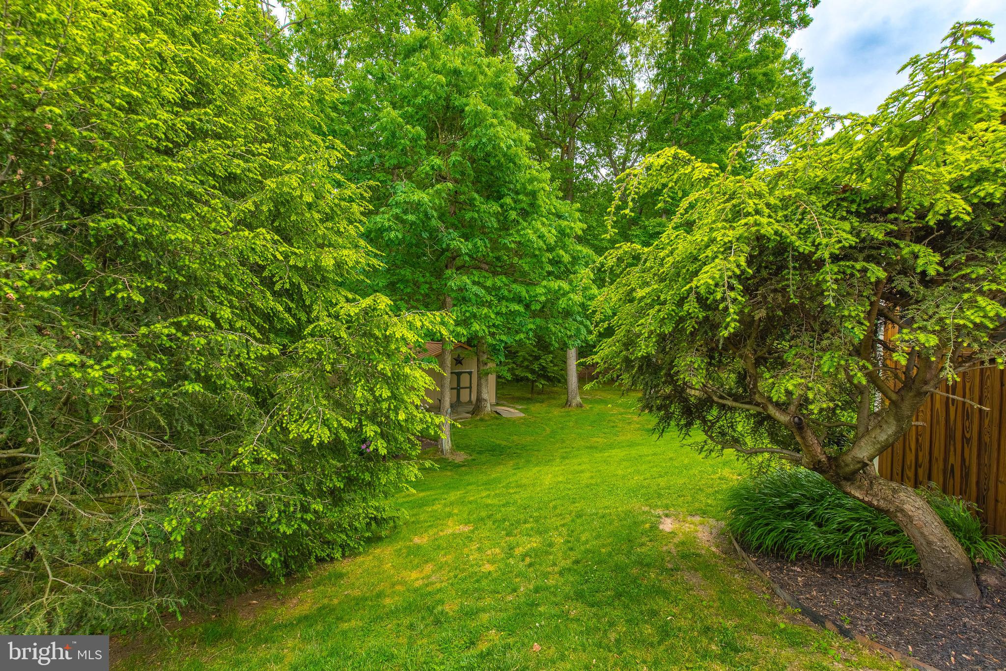 9679 Baltimore Avenue Laurel, MD 20723 - Photo 16 of 56 a view of yard with green space