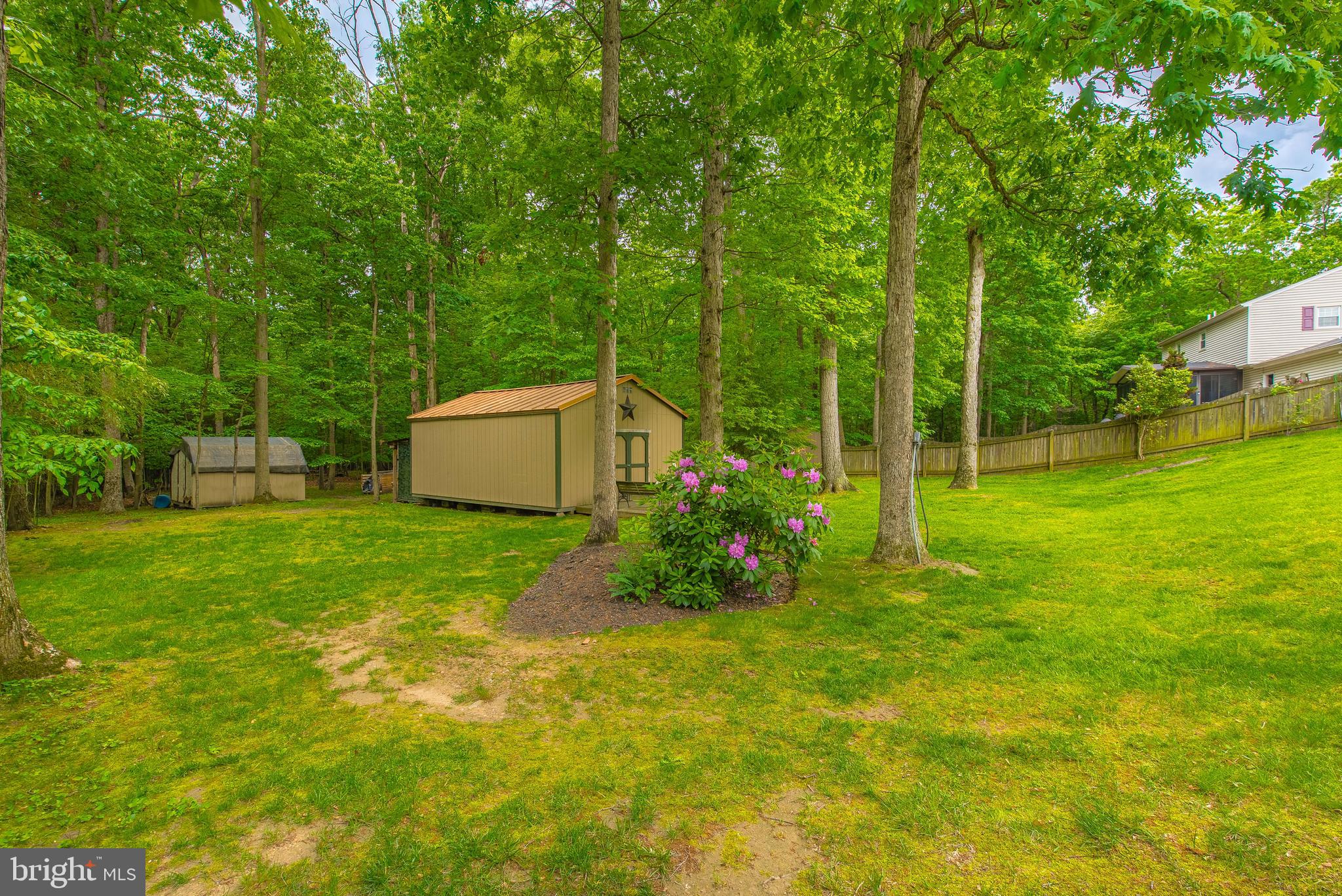 9679 Baltimore Avenue Laurel, MD 20723 - Photo 17 of 56 a backyard of a house with plants and large trees