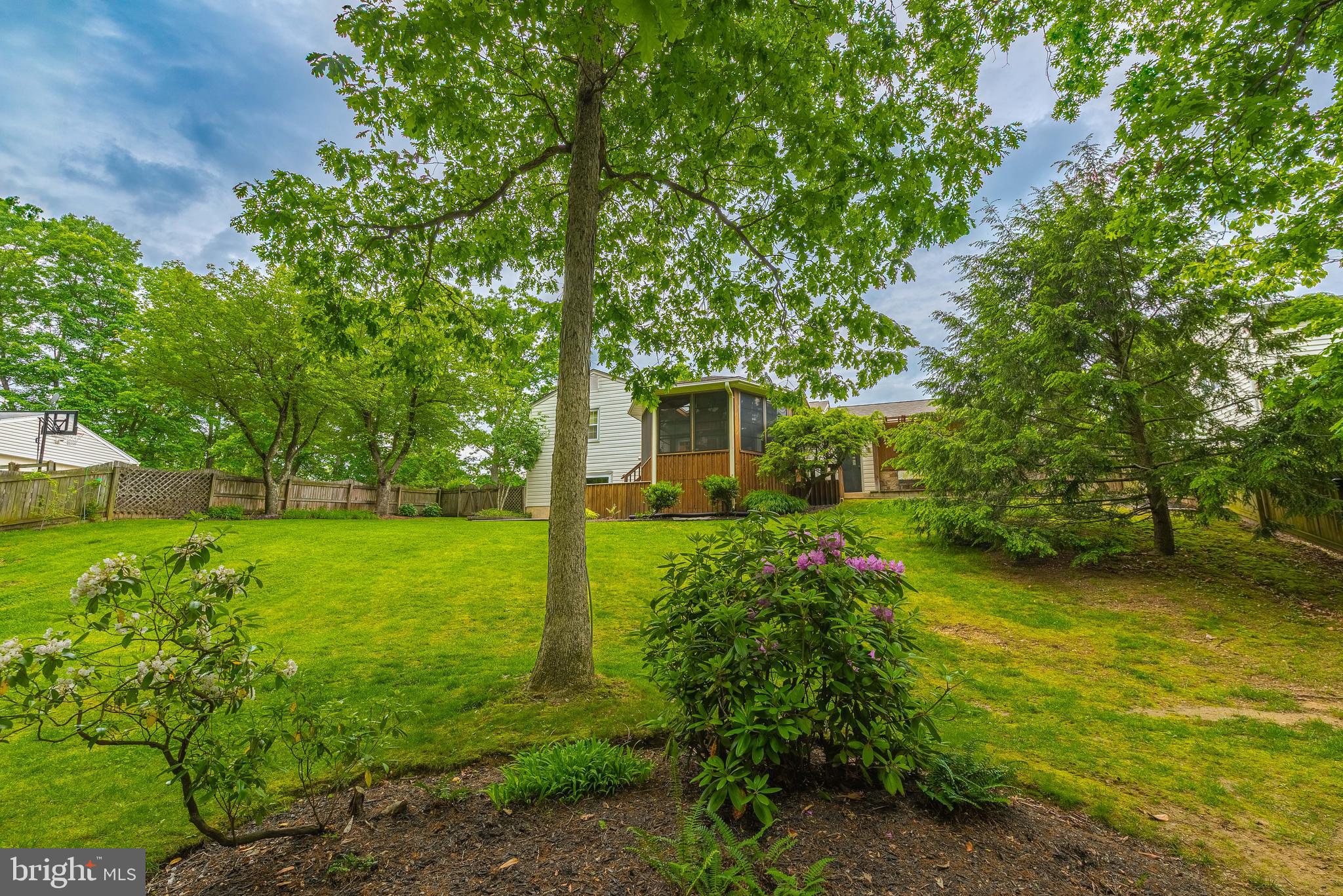 9679 Baltimore Avenue Laurel, MD 20723 - Photo 18 of 56 a view of a house with a large tree and a yard