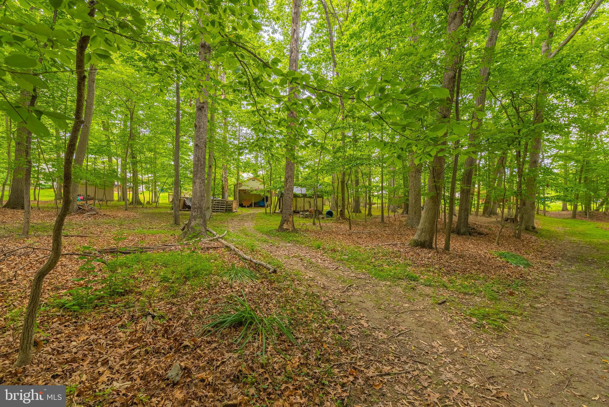 9679 Baltimore Avenue Laurel, MD 20723 - Photo 22 of 56 a ground with lots of trees