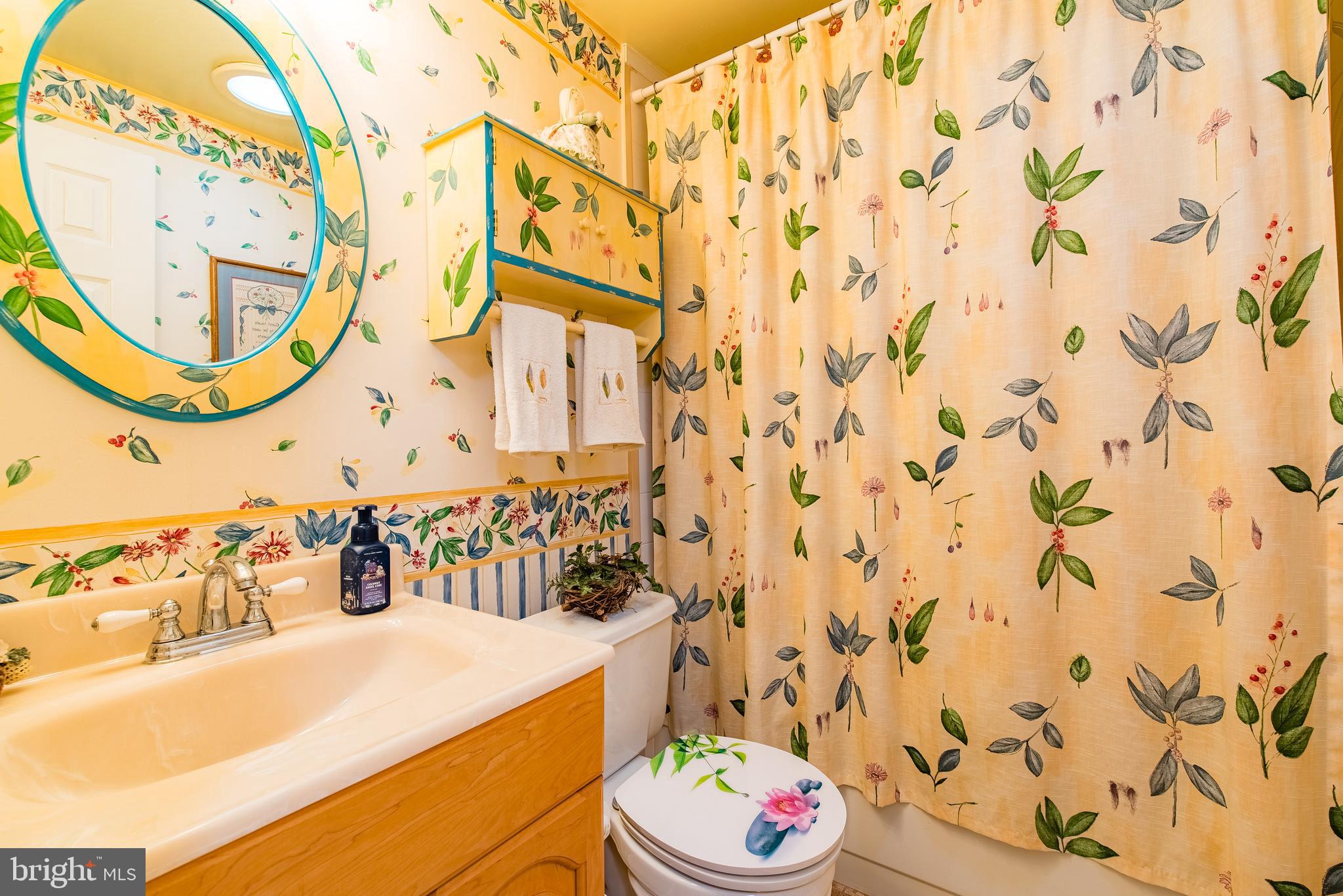 9679 Baltimore Avenue Laurel, MD 20723 - Photo 43 of 56 a bathroom with a sink and a mirror