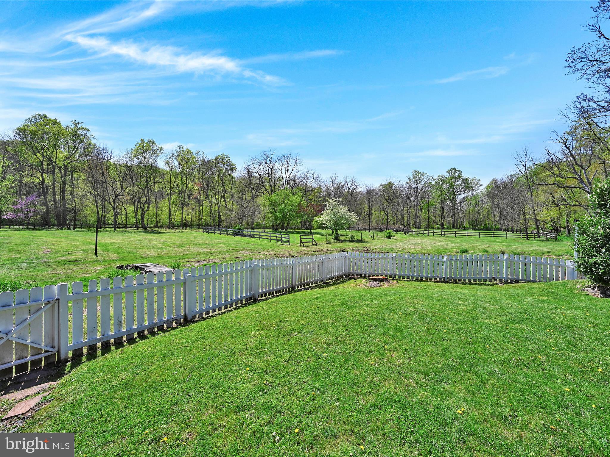 21 Sheeder Mill Road Spring City, PA 19475 - Photo 57 of 87 Backyard