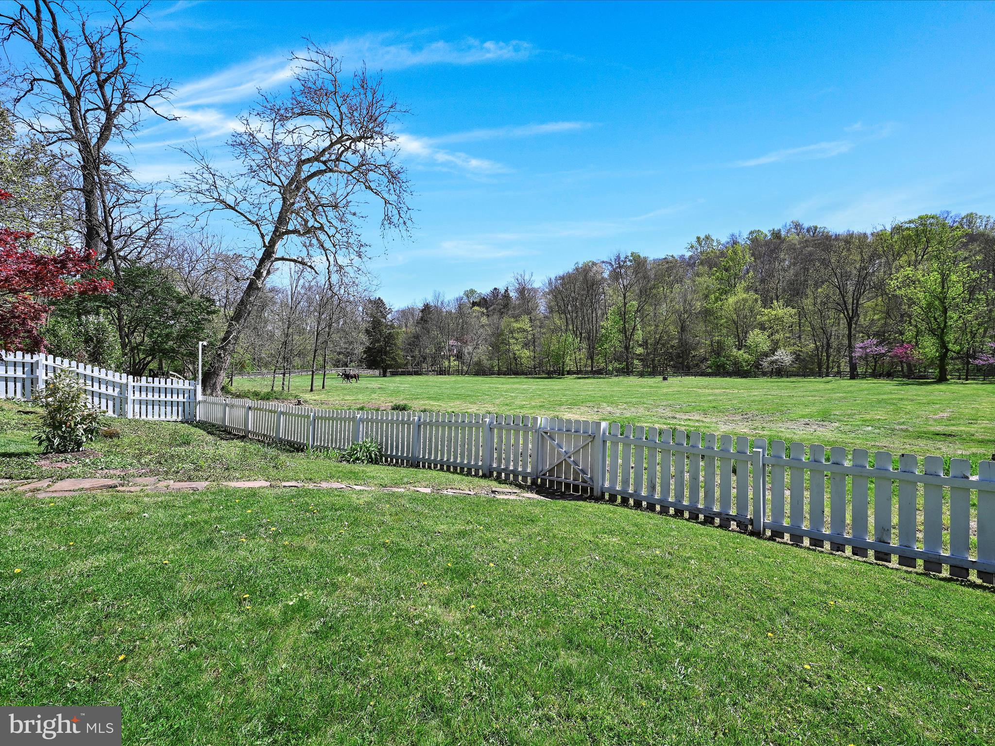 21 Sheeder Mill Road Spring City, PA 19475 - Photo 58 of 87 Backyard