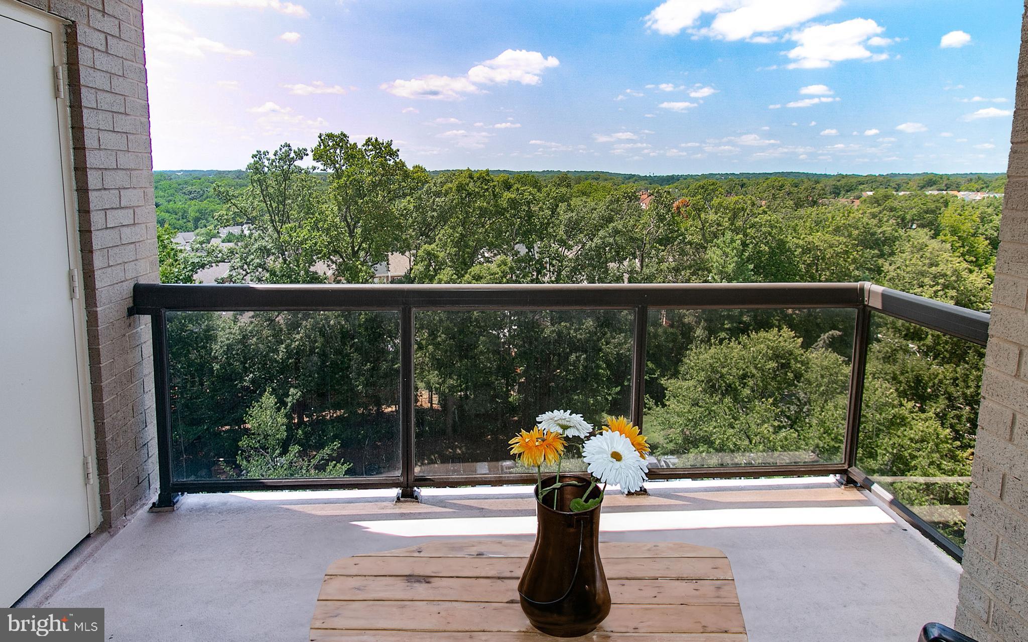 307 Yoakum Parkway, Unit 1024 Alexandria, VA 22304 - Photo 17 of 50 a view of outdoor space with garden