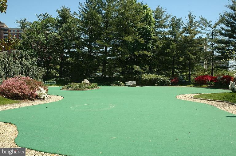 307 Yoakum Parkway, Unit 1024 Alexandria, VA 22304 - Photo 48 of 50 a view of a golf course with a park