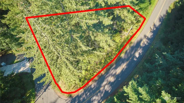 a close view of shoes