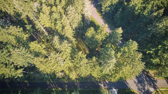 $12,500 | 10423 Lake Josephine Boulevard, Anderson Island, WA 98303