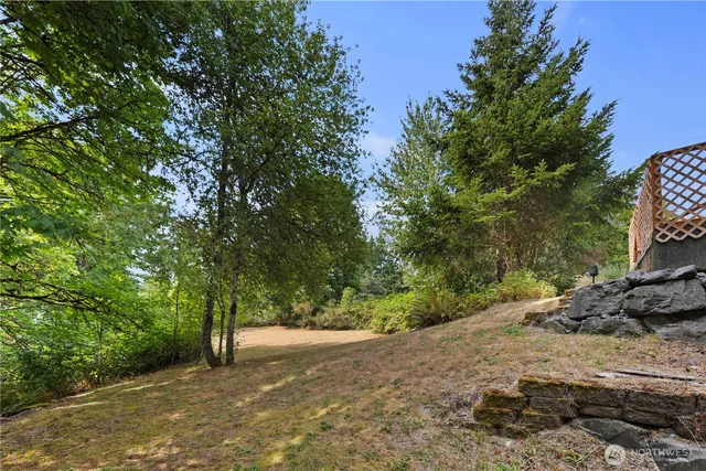 a view of a yard with a tree