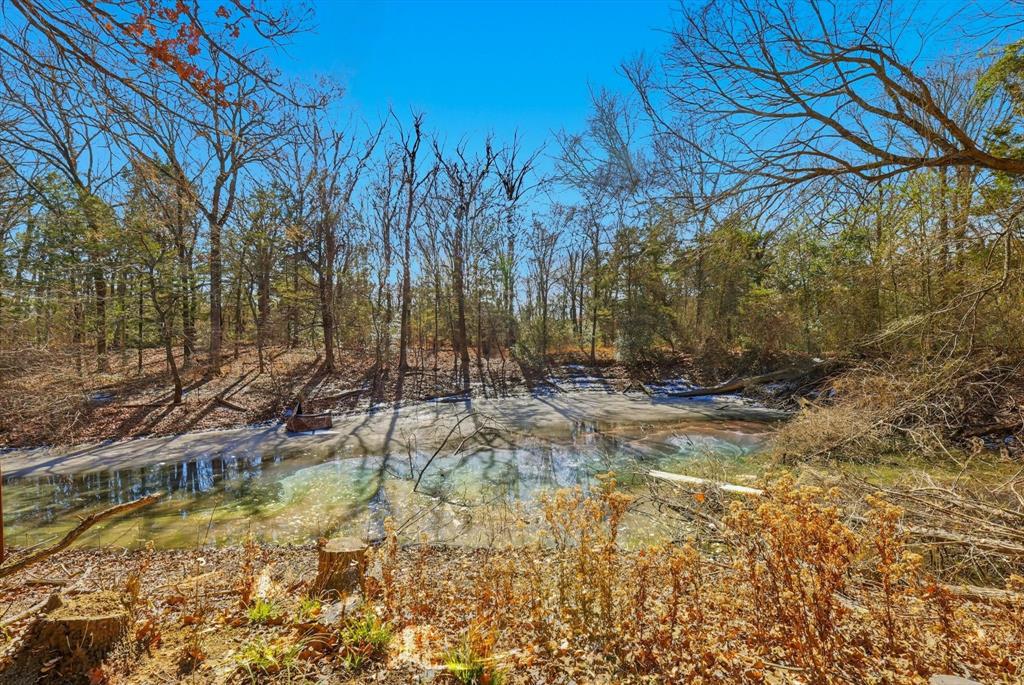 18743 Barnes Lane Terrell, TX 75161 - Photo 15 of 23 a view of yard