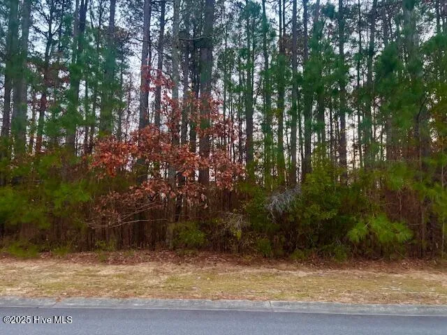 $35,000 | 3094 Belmont Lake Drive, Rocky Mount, NC 27804