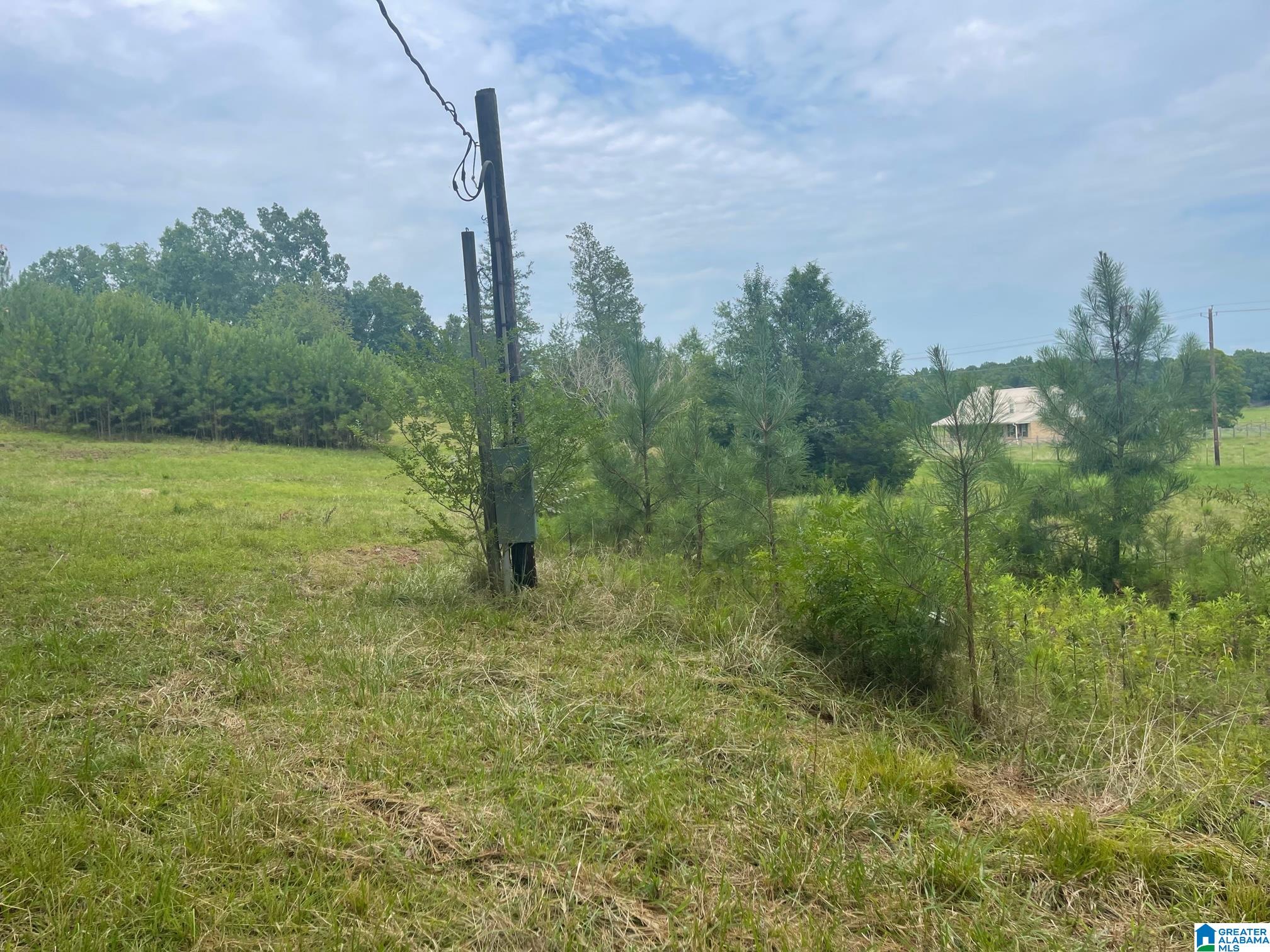 190 Silver Loop Road Columbiana, AL 35051 - Photo 19 of 21