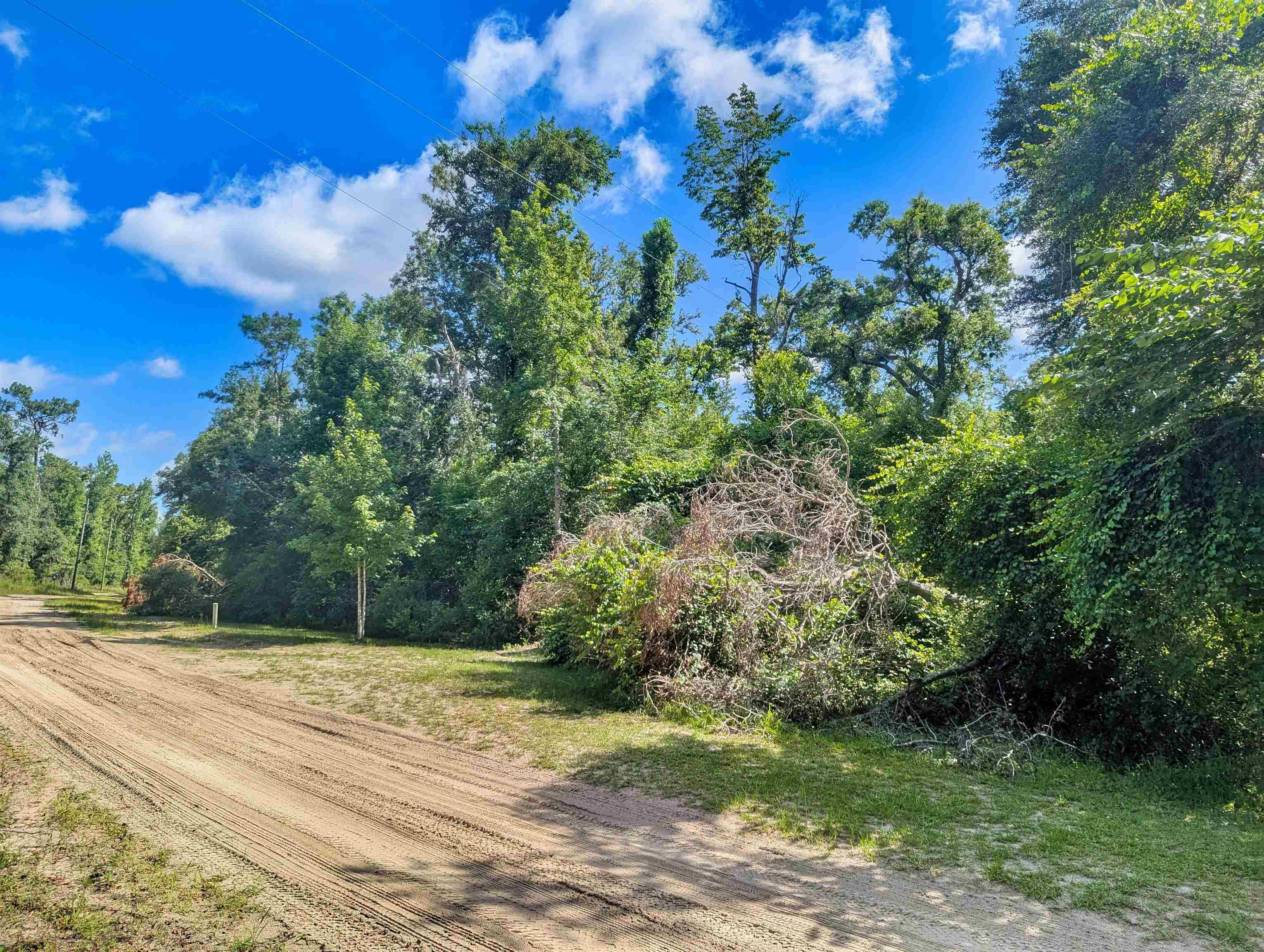 Northeast River Ridge Way Lee, FL 32059 - Photo 1 of 8