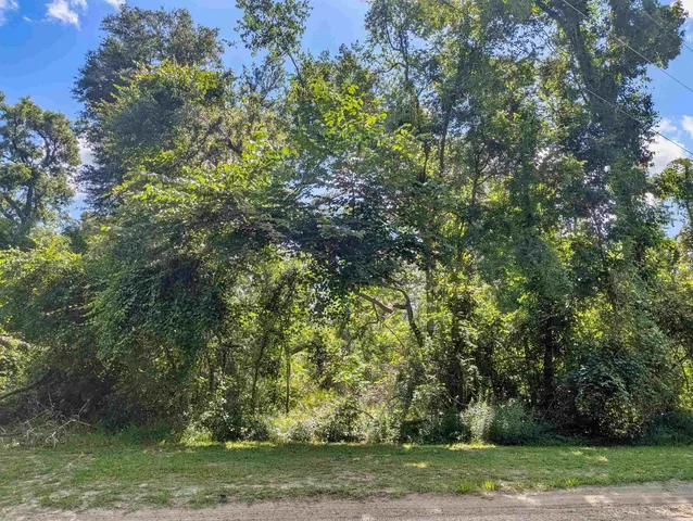 $34,000 | Northeast River Ridge Way, Lee, FL 32059