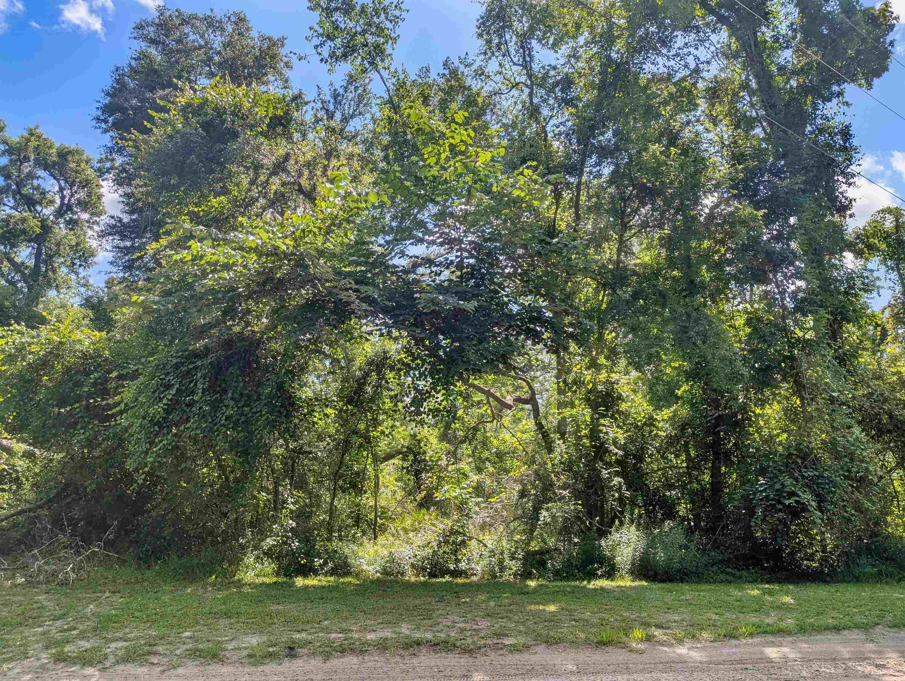 Northeast River Ridge Way Lee, FL 32059 - Photo 2 of 8