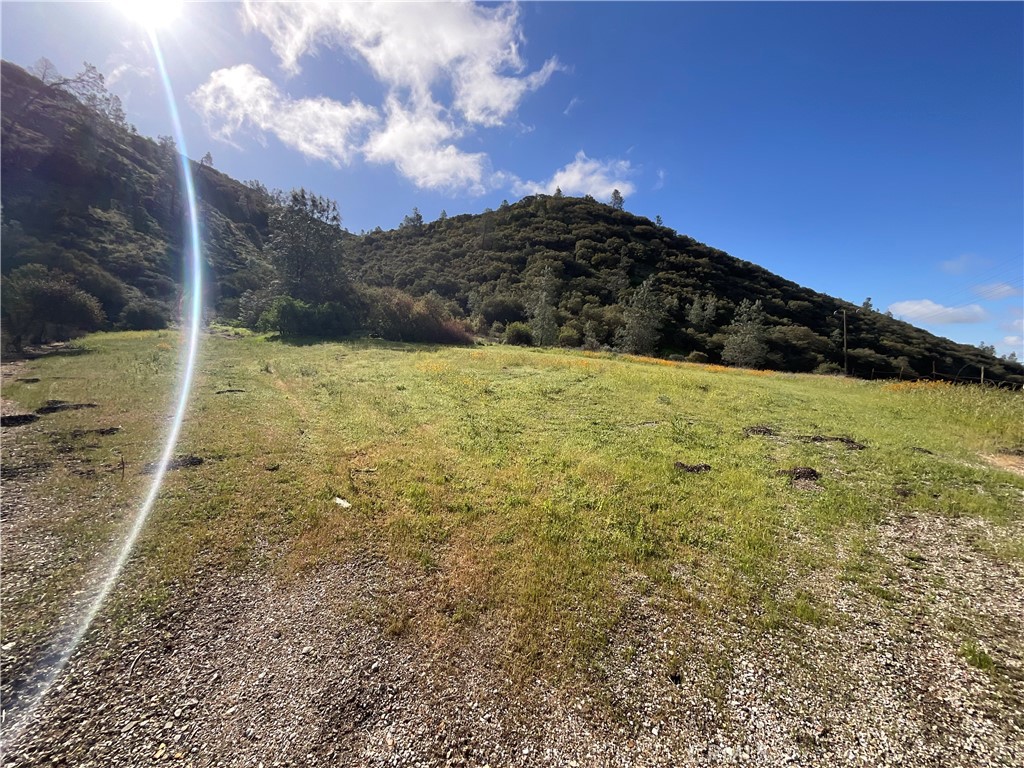 64031 Lockwood San Lucas Road King City, CA 93930 - Photo 2 of 19 a view of a yard