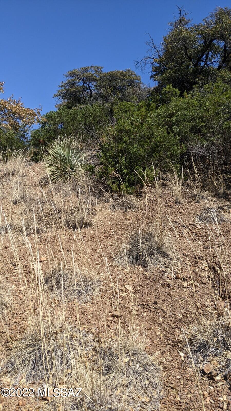Tbd Adams Avenue, Unit MULTIPL Bisbee, AZ 85603 - Photo 5 of 35