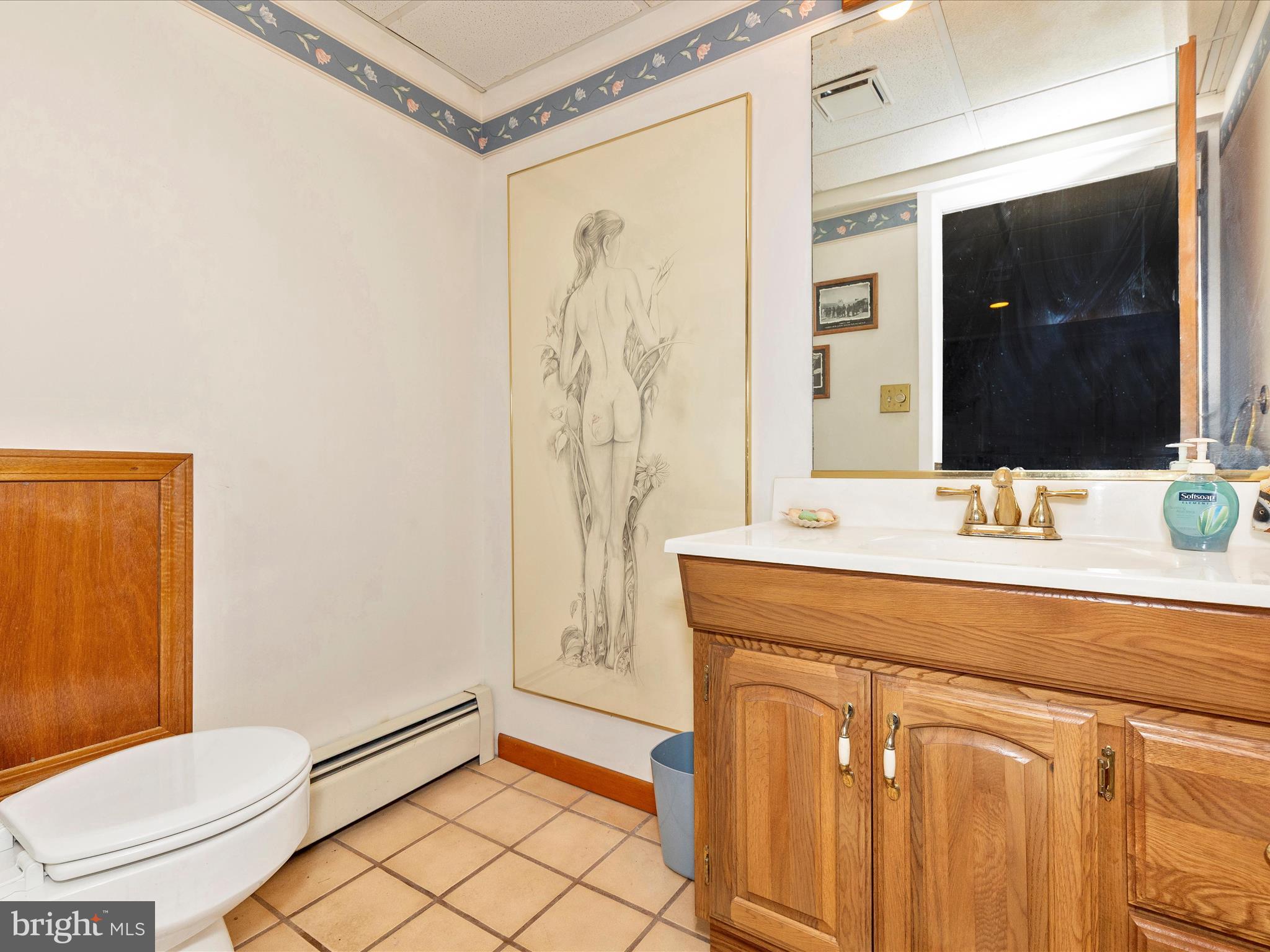 5100 Brook Green Road Baltimore, MD 21229 - Photo 41 of 54 a bathroom with a sink a toilet and shower