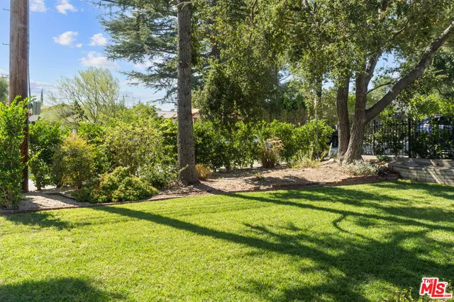 a view of a park with large trees