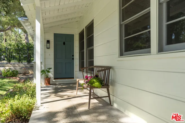 a potted plant sitting in front of a door