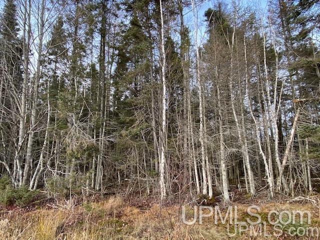 5994 Linden Road Manistique, MI 49854 - Photo 10 of 13 Gallery Image 10