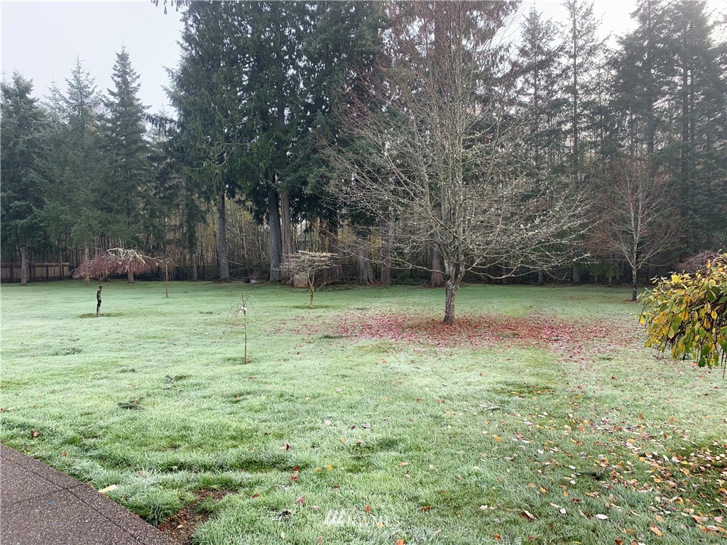 106 Pattee Road Chehalis, WA 98532 - Photo 32 of 33 a view of a backyard with a trampoline