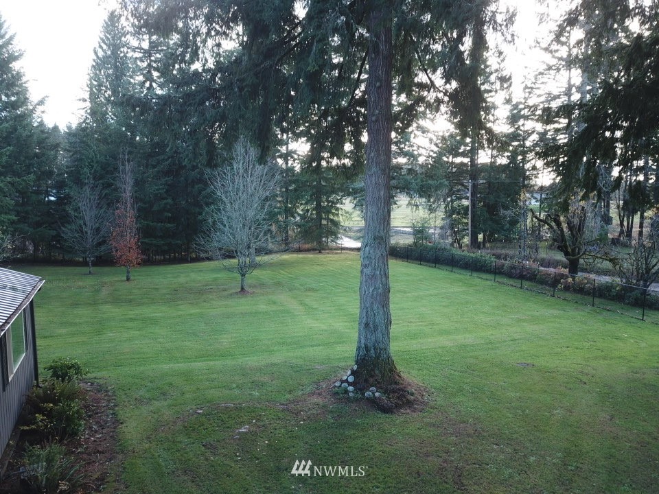 106 Pattee Road Chehalis, WA 98532 - Photo 33 of 33 a backyard of a house with lots of green space