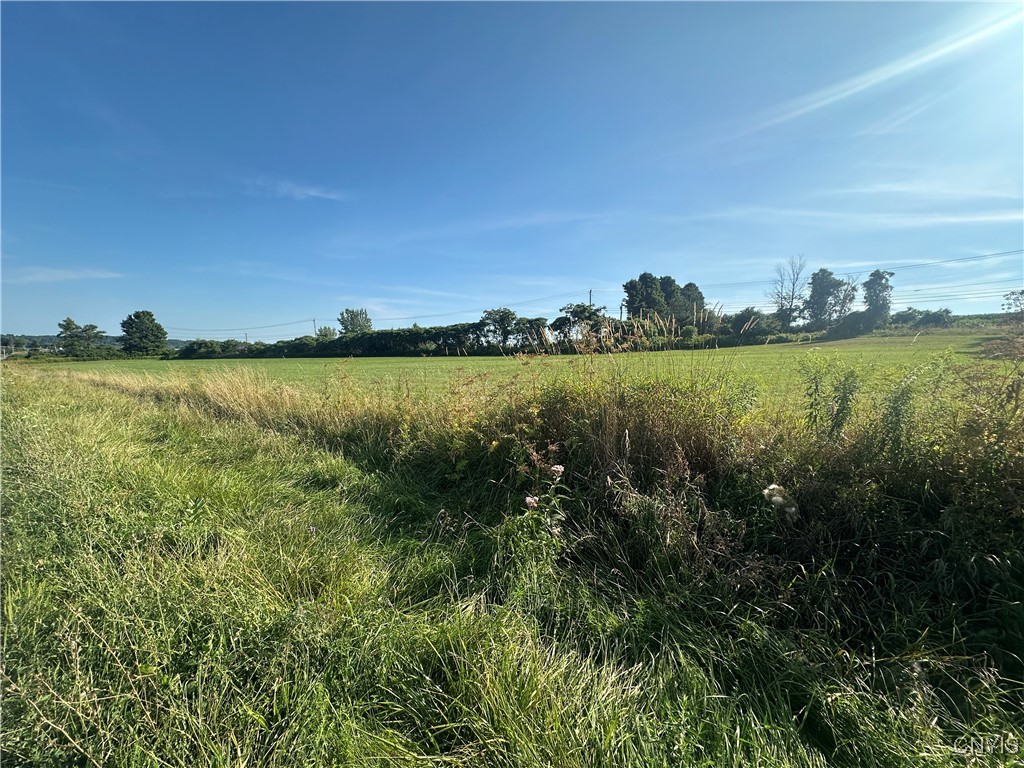 Putman Hill Road Carthage, NY 13619 - Photo 2 of 12