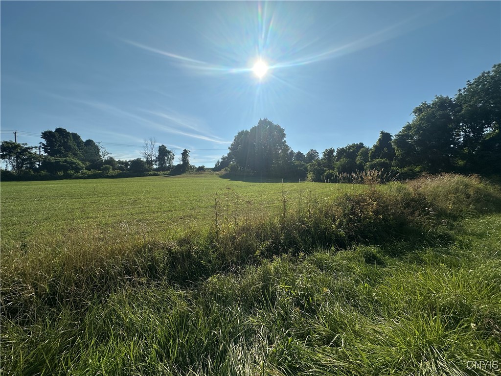 Putman Hill Road Carthage, NY 13619 - Photo 3 of 12