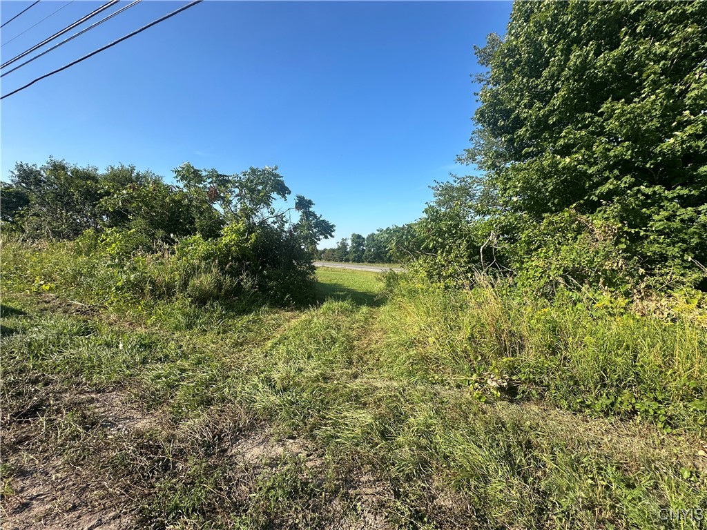 Putman Hill Road Carthage, NY 13619 - Photo 6 of 12